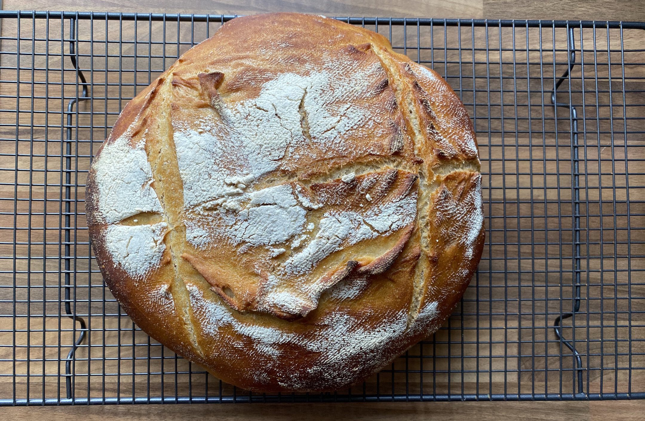 Photo of a sourdough